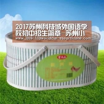 2017苏州科技城外国语学校初中招生简章-苏州小升初【 FIFA World Cup】(图3) 世界杯电竞